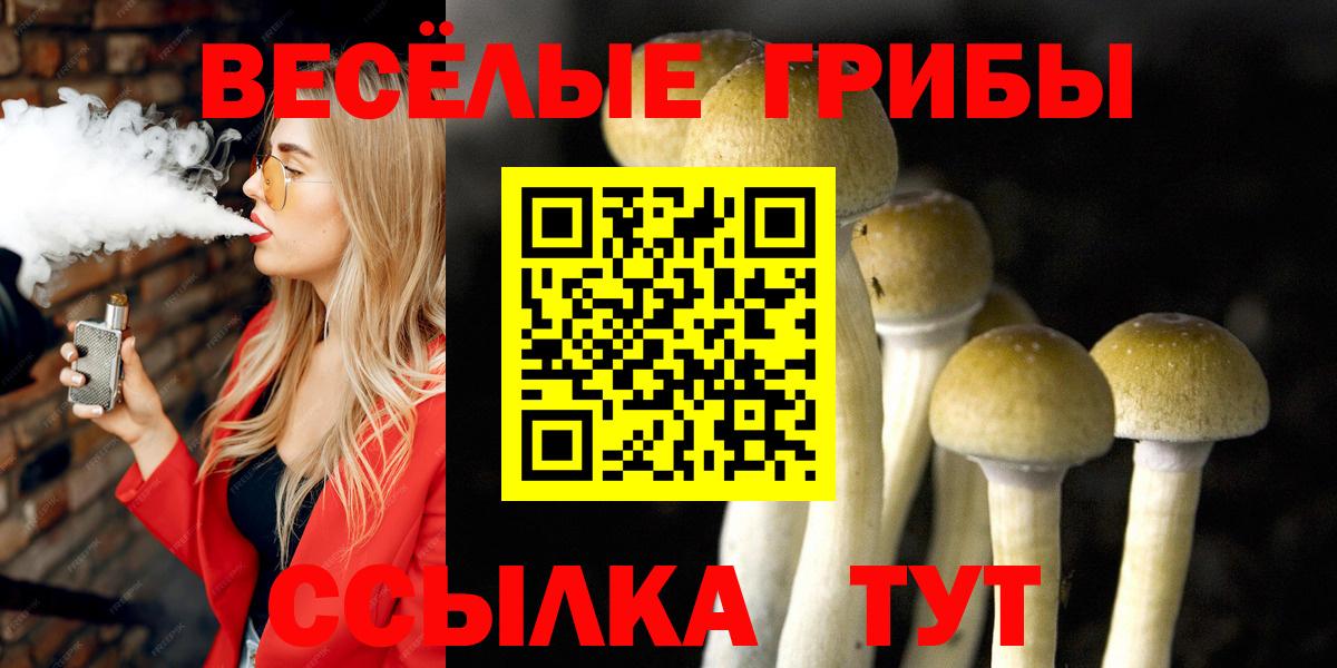 Псилоцибиновые грибы Psilocybine cubensis Сокол